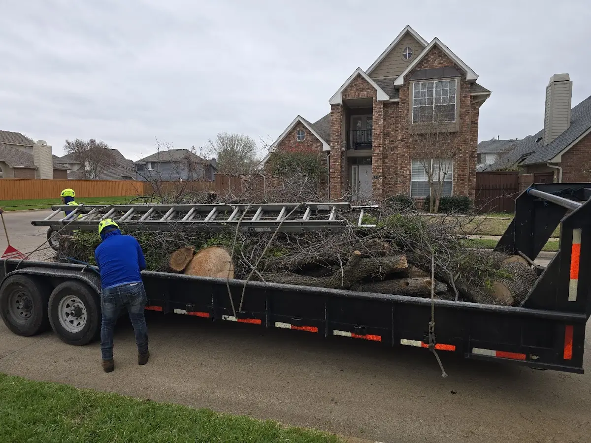 Expert Tree Pest Control with proper safety equipment in Clarington